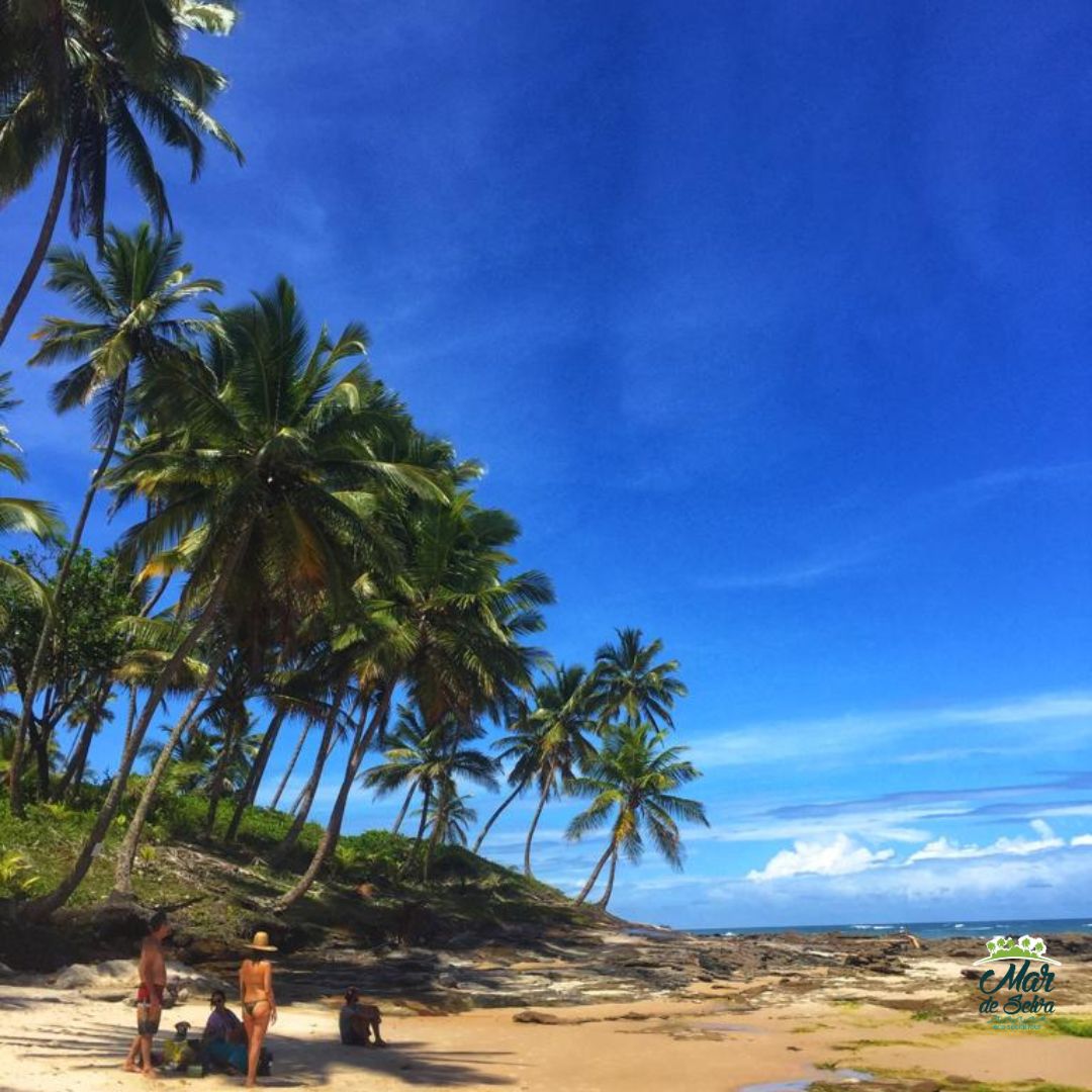 Galeria da expedição 17